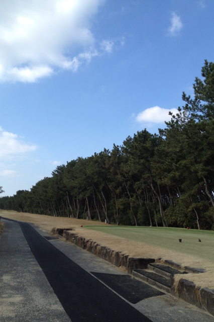 初打ち_f0085810_16174160.png