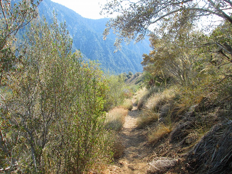 名前通り大きな滝　　　　　Big Falls & Alger Creek Trail in San Bernardino National Forest_f0308721_6572056.jpg