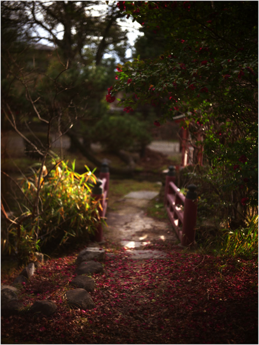 916 西大寺走景（クラインビルド・プラズマート7cmf2.7はやっぱり銘玉だった！）_b0226423_2114326.jpg