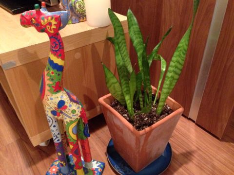 c0190424_1249062.jpg