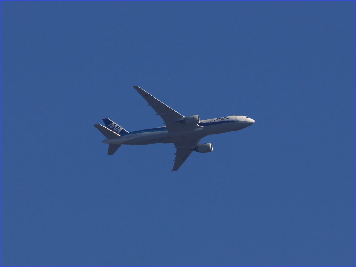 d0137627_0384838.jpg