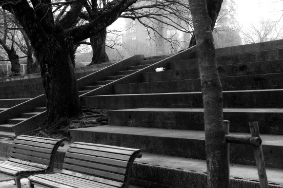 monochrome_d0227429_20590405.jpg