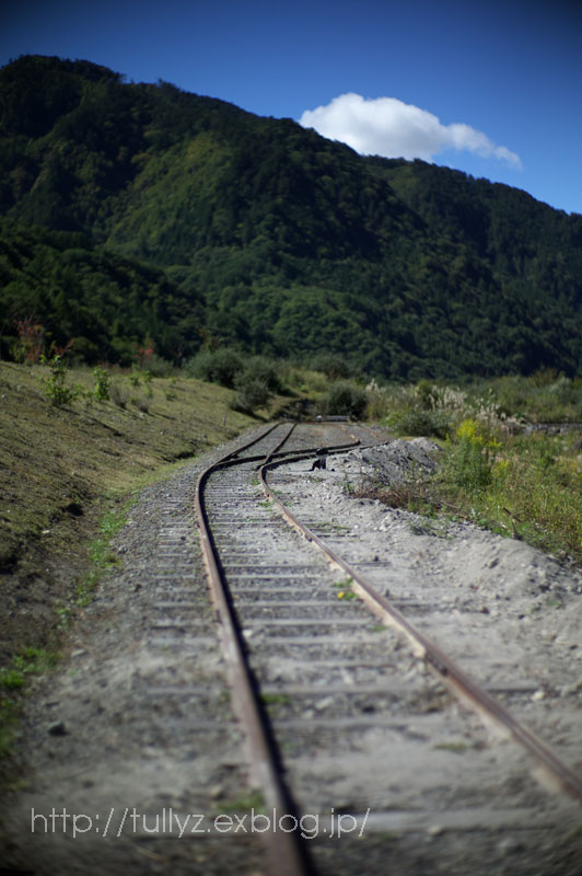 d0108132_230797.jpg