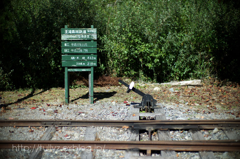 d0108132_2362658.jpg