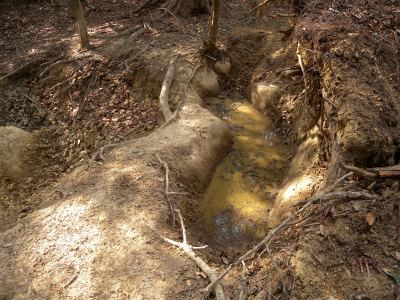 e0272335_20343.jpg