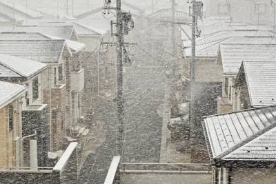 なじらね に なじょも と返す雪の朝 ジャンボ尾崎のなじらね倶楽部 なじらね に なじょも と返す雪の朝 ジャンボ尾崎のなじらね倶楽部