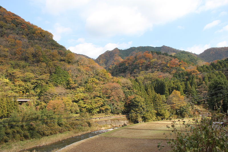 c0011649_15292332.jpg