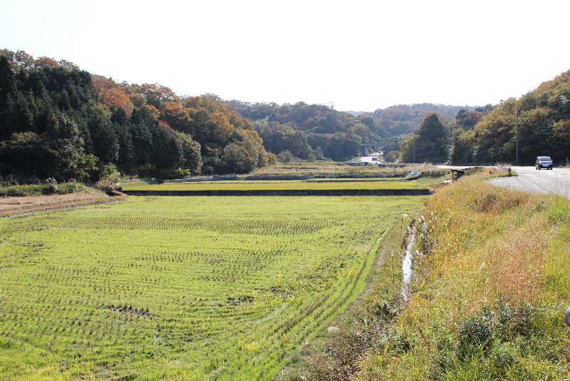 c0011649_1529378.jpg
