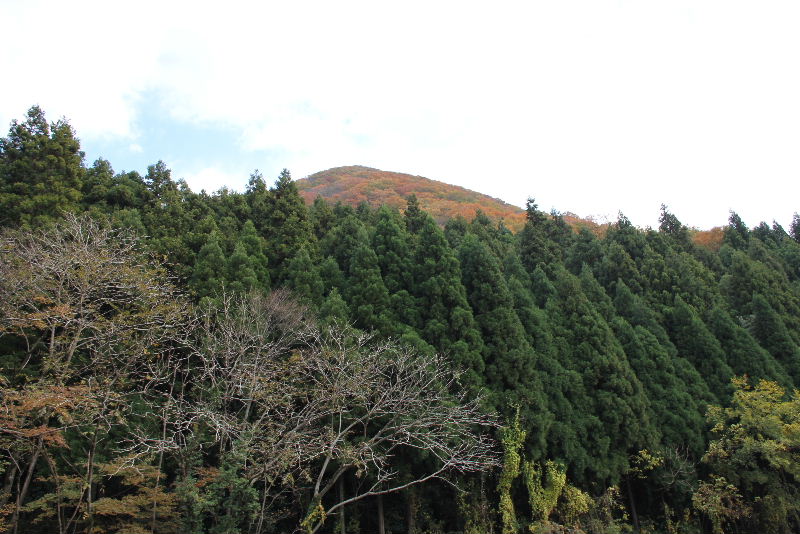 日本神話の旅　【須佐神社】_c0011649_15295872.jpg