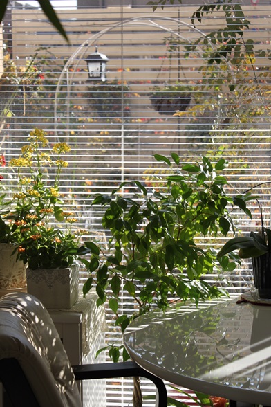 c0178453_2135570.jpg