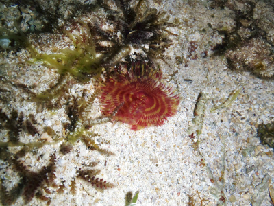 c0180460_3333716.jpg