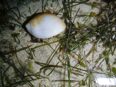c0180460_3361793.jpg