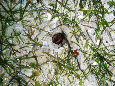 c0180460_337761.jpg