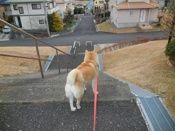 ’14、1月17日(金)一週間が早いなぁ!_f0060461_12562379.jpg