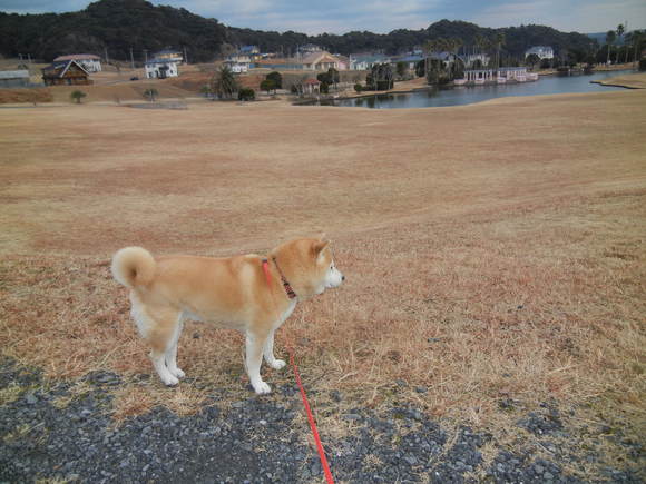 ’14、1月17日(金)一週間が早いなぁ!_f0060461_130095.jpg