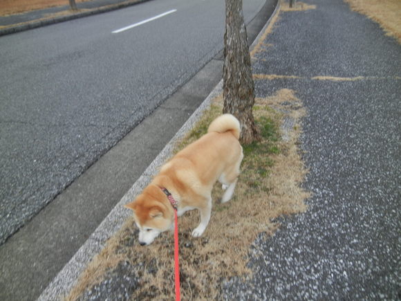 ’14、1月17日(金)一週間が早いなぁ!_f0060461_1303670.jpg