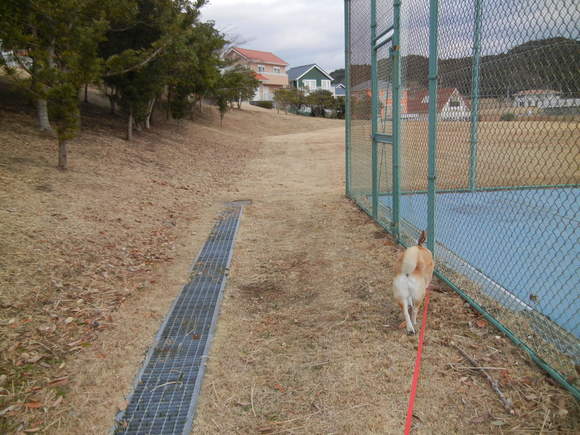 ’14、1月17日(金)一週間が早いなぁ!_f0060461_1325542.jpg
