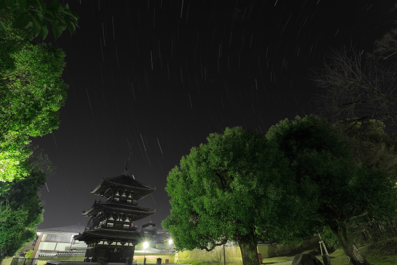 ★☆星景☆★　星降る興福寺　２_a0314571_15453170.jpg