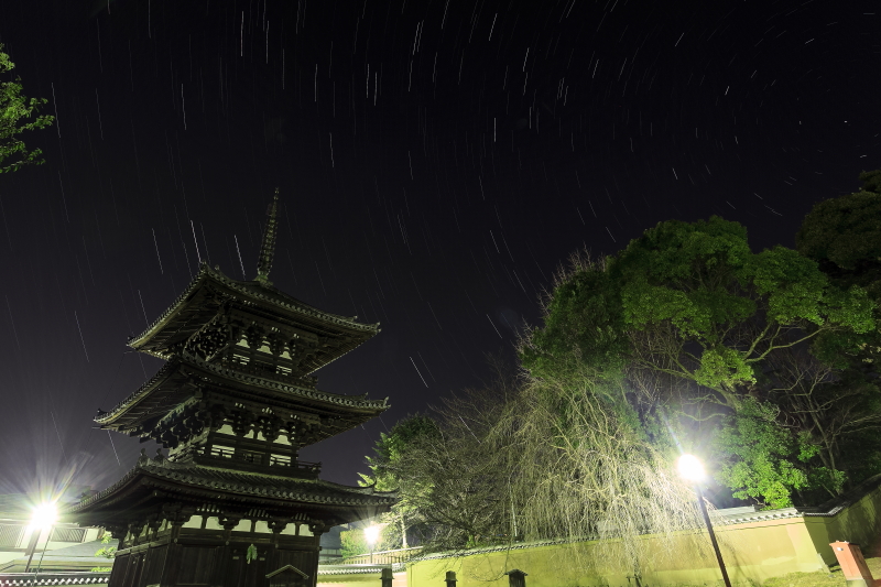 ★☆星景☆★　星降る興福寺　２_a0314571_15453941.jpg