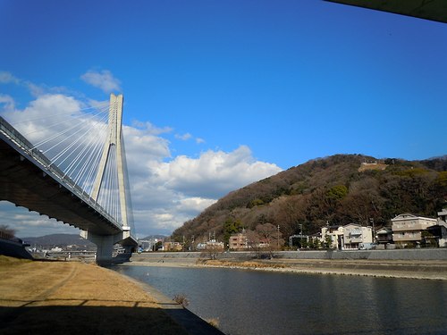 水鳥は川にいた。山鳥は何処に？_b0102572_17221683.jpg