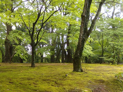 前へ!!!_d0165772_20453893.jpg