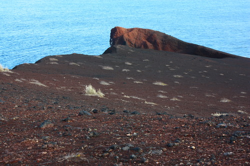 ひょうたん山、散策_c0204385_22501389.jpg