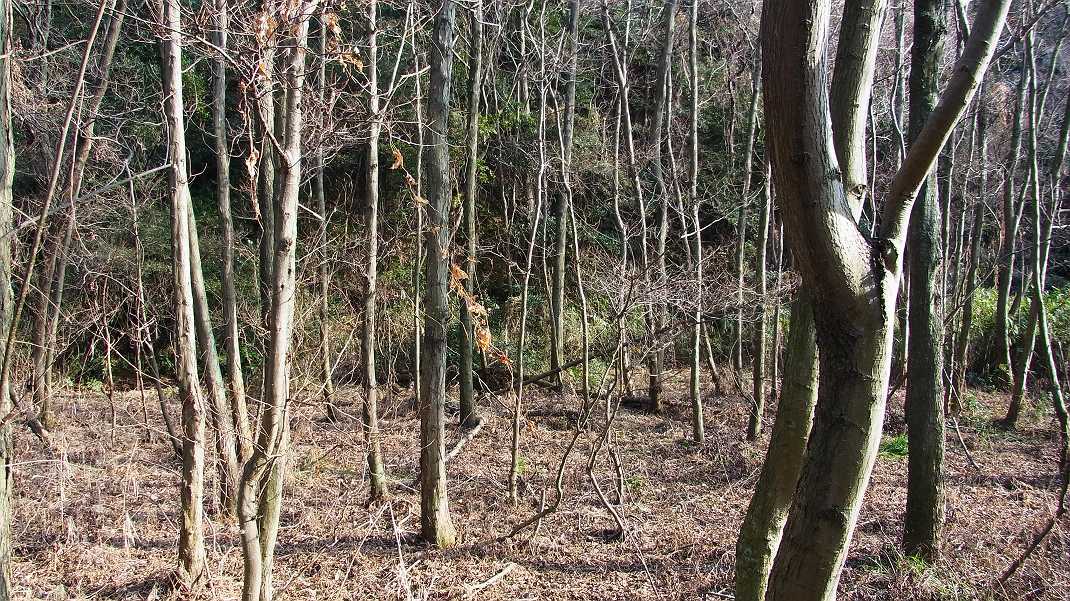 a0152692_18373544.jpg