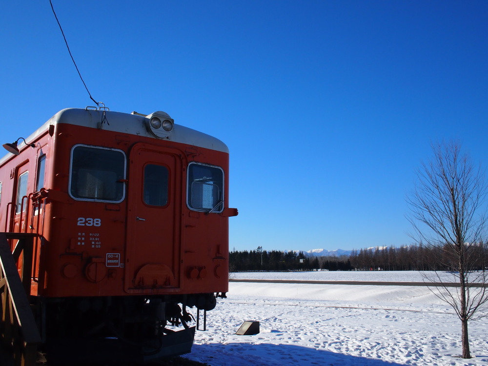 冬の十勝らしい快晴の”日高山脈”と新しくなった”幸福駅”_f0276498_15261677.jpg