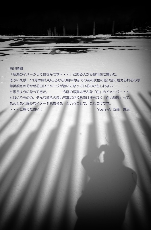 第９回　三人展　“raise our sights”　WEBカタログ_c0082800_15354788.jpg