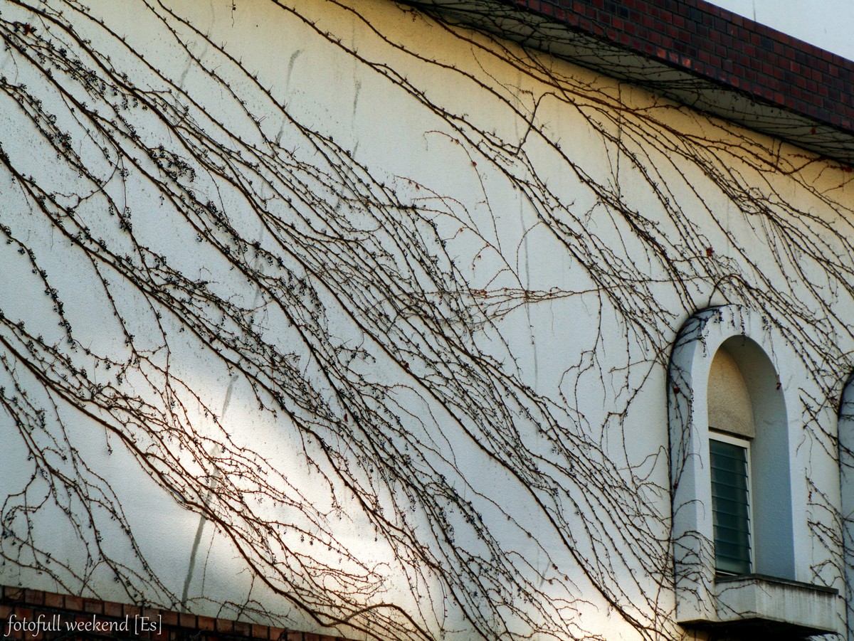 b0138101_164732.jpg
