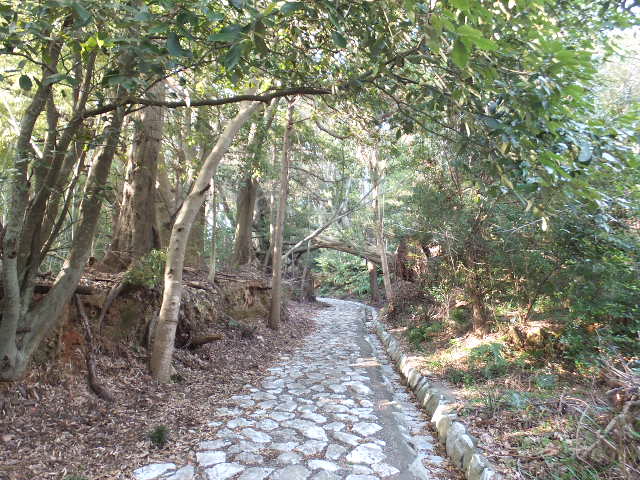 a0271502_1353770.jpg