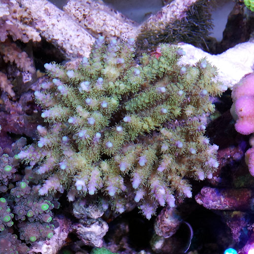 c0165807_135943.jpg