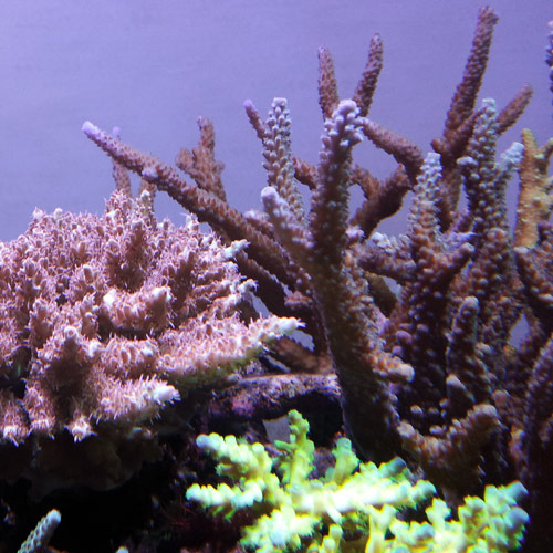 c0165807_195917.jpg