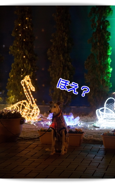e0100007_8341660.jpg