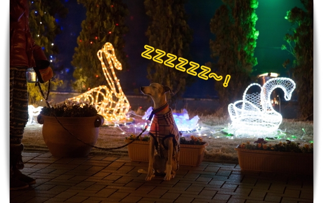 e0100007_8342353.jpg