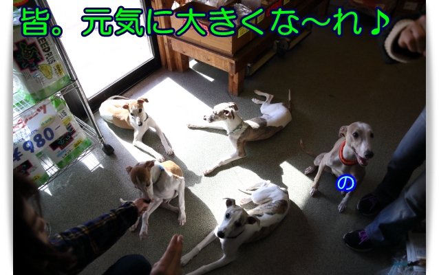 e0100007_8532129.jpg