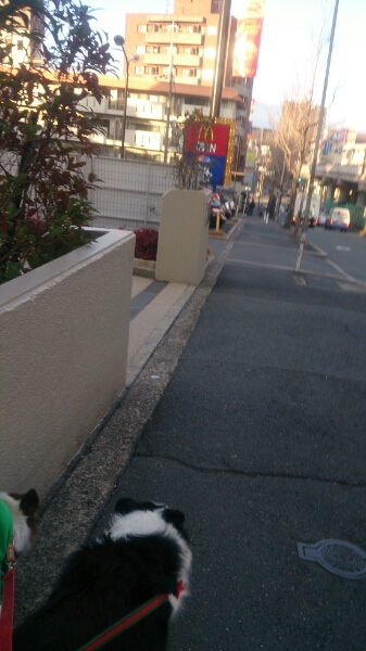 c0181414_22314950.jpg