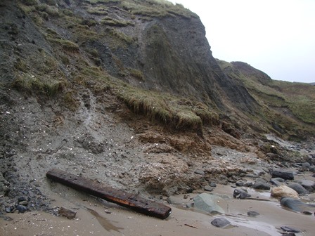 大荒れの海を見にMwnt Beachへ・・・　その1_f0217014_5462791.jpg