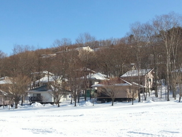 f0219716_8594861.jpg