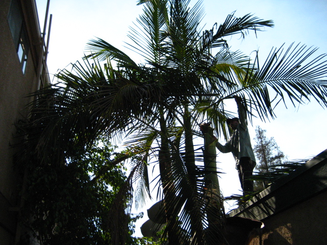 f0300716_132436.jpg