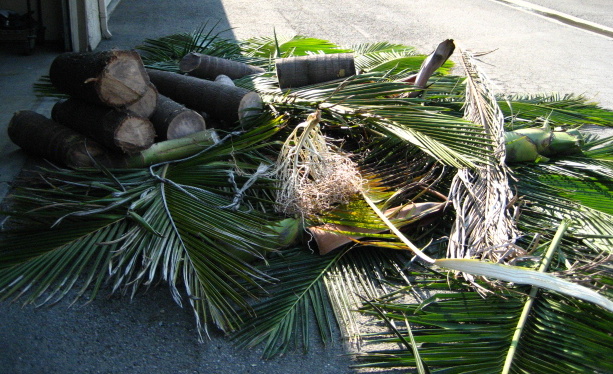 f0300716_13441094.jpg