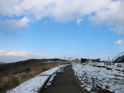 d0221319_44938.jpg