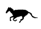 a0098027_00242980.gif
