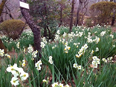 瀬織津姫は南北どちらの小野神社に？_a0300530_1111772.jpg