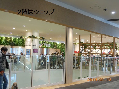 c0206342_19465420.jpg