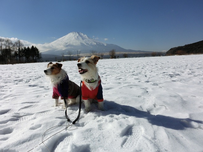 富士山とkulaLido♪　②_c0156345_11245241.jpg