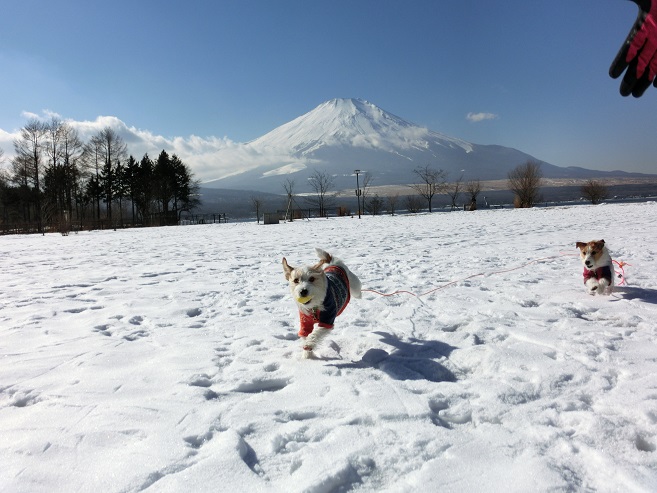 富士山とkulaLido♪　②_c0156345_1125207.jpg