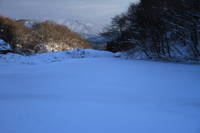 雪で覆われた池_c0155950_215564.jpg