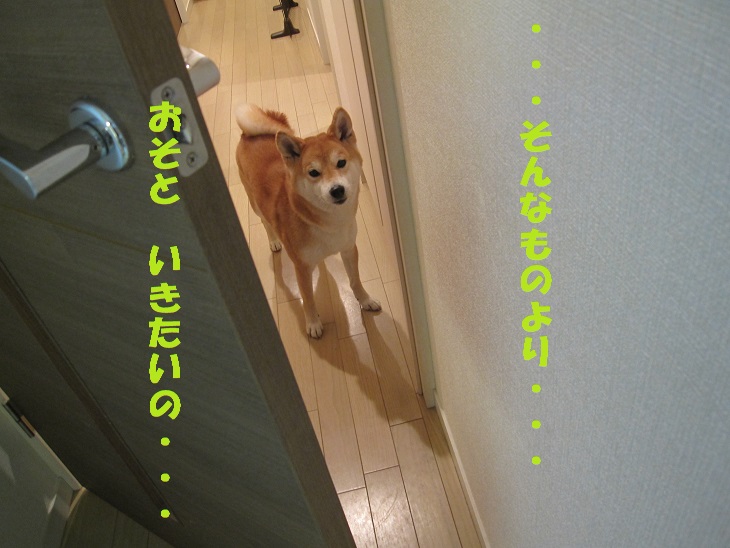 f0245650_10174779.jpg