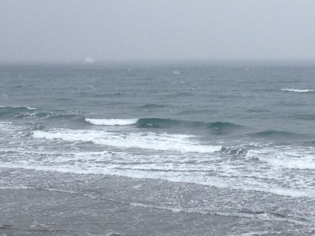 c0254151_17261343.jpg